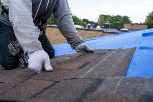 Professional Roofing Contractor in Lake City, IA