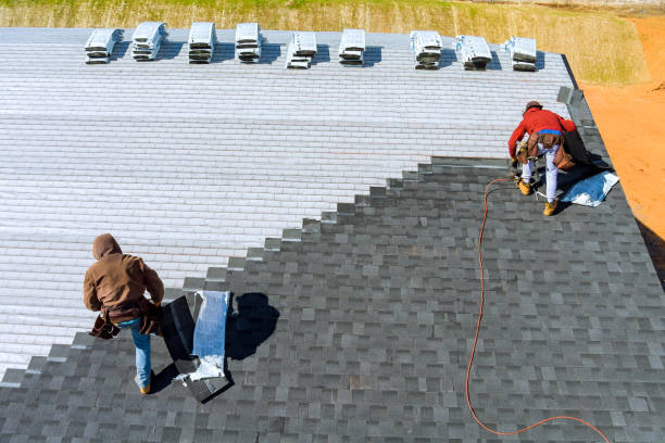 Best Roof Waterproofing Services  in Lake City, IA