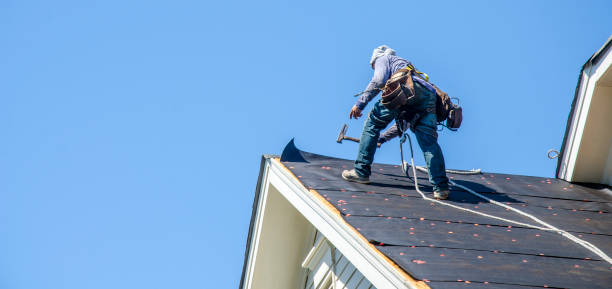 Best Commercial Roofing Services  in Lake City, IA